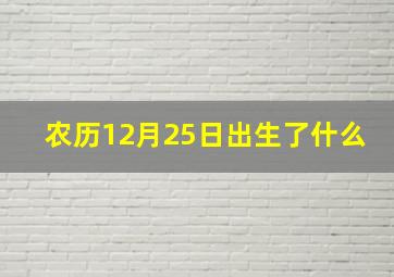 农历12月25日出生了什么