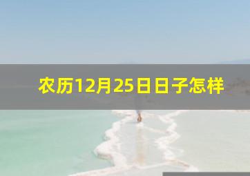 农历12月25日日子怎样