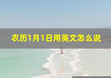 农历1月1日用英文怎么说