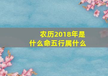 农历2018年是什么命五行属什么