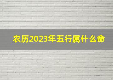 农历2023年五行属什么命