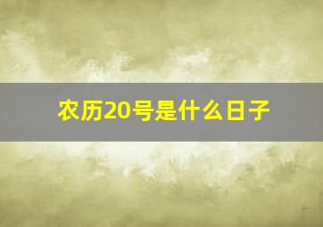 农历20号是什么日子