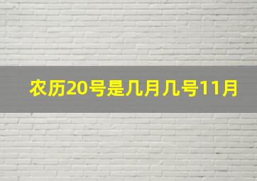 农历20号是几月几号11月