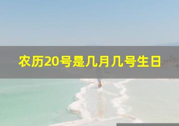 农历20号是几月几号生日