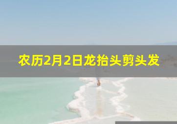 农历2月2日龙抬头剪头发