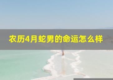 农历4月蛇男的命运怎么样