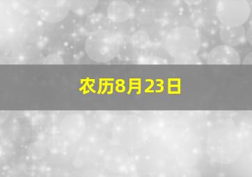 农历8月23日