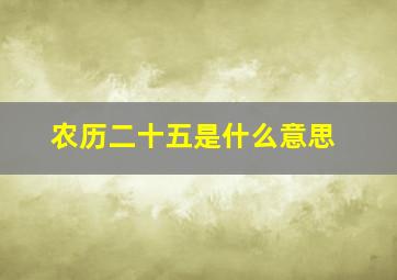 农历二十五是什么意思