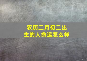 农历二月初二出生的人命运怎么样