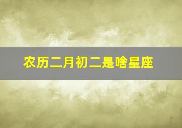 农历二月初二是啥星座