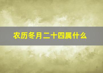 农历冬月二十四属什么