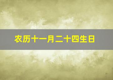 农历十一月二十四生日