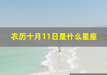 农历十月11日是什么星座