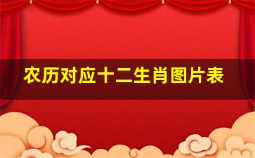 农历对应十二生肖图片表