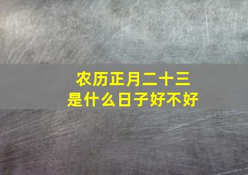 农历正月二十三是什么日子好不好