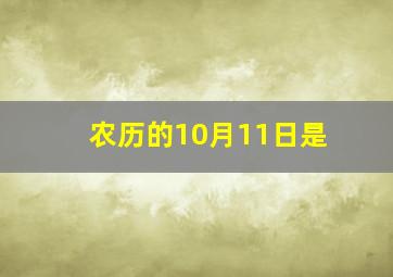 农历的10月11日是