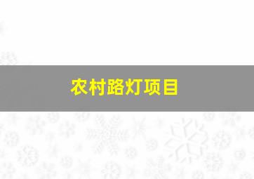 农村路灯项目