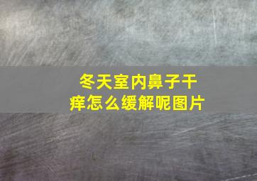 冬天室内鼻子干痒怎么缓解呢图片