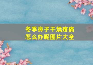 冬季鼻子干燥疼痛怎么办呢图片大全