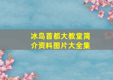 冰岛首都大教堂简介资料图片大全集