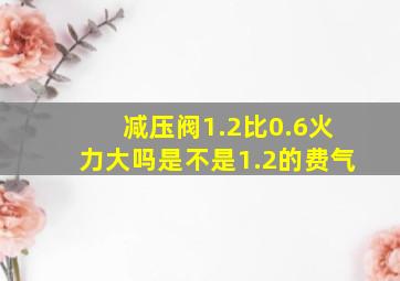 减压阀1.2比0.6火力大吗是不是1.2的费气