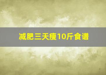 减肥三天瘦10斤食谱