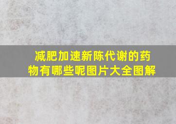 减肥加速新陈代谢的药物有哪些呢图片大全图解