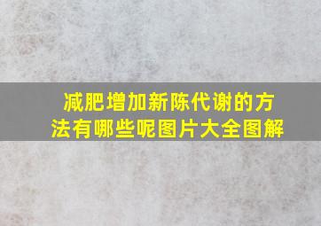 减肥增加新陈代谢的方法有哪些呢图片大全图解