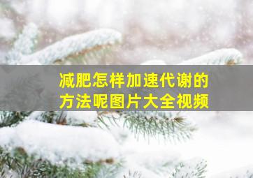 减肥怎样加速代谢的方法呢图片大全视频