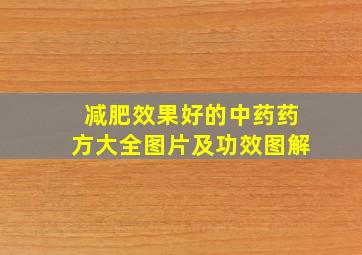 减肥效果好的中药药方大全图片及功效图解