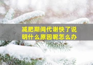 减肥期间代谢快了说明什么原因呢怎么办