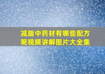 减脂中药材有哪些配方呢视频讲解图片大全集