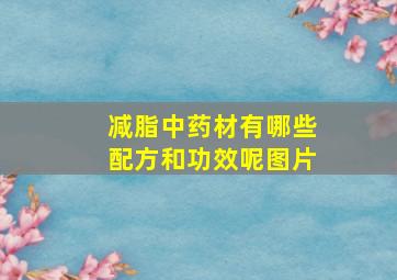 减脂中药材有哪些配方和功效呢图片