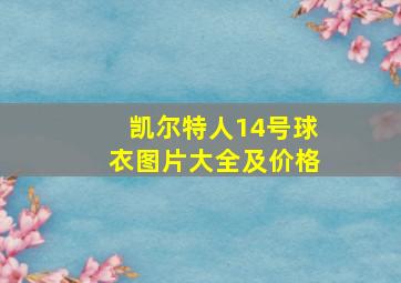 凯尔特人14号球衣图片大全及价格