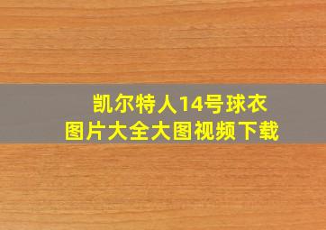 凯尔特人14号球衣图片大全大图视频下载