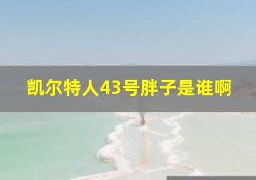 凯尔特人43号胖子是谁啊