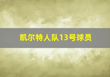 凯尔特人队13号球员