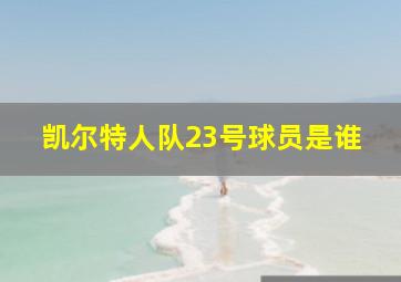 凯尔特人队23号球员是谁