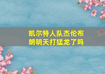 凯尔特人队杰伦布朗明天打猛龙了吗