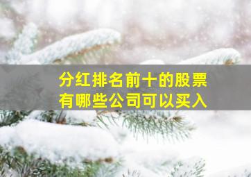 分红排名前十的股票有哪些公司可以买入