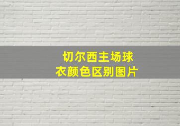 切尔西主场球衣颜色区别图片