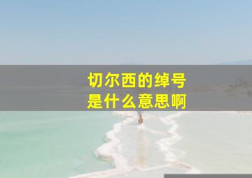 切尔西的绰号是什么意思啊