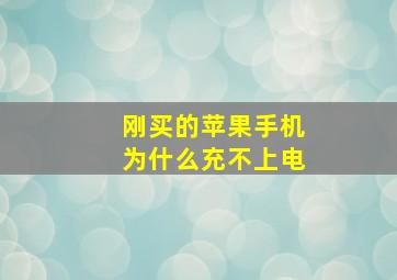 刚买的苹果手机为什么充不上电