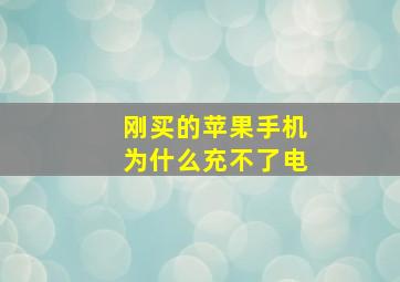 刚买的苹果手机为什么充不了电