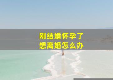 刚结婚怀孕了想离婚怎么办