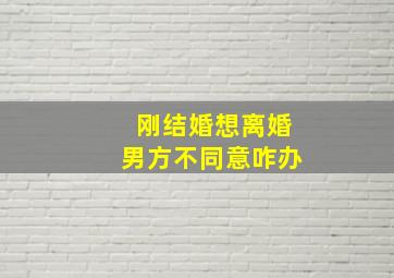 刚结婚想离婚男方不同意咋办