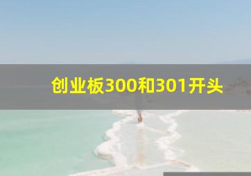 创业板300和301开头