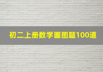 初二上册数学画图题100道