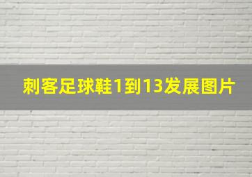 刺客足球鞋1到13发展图片