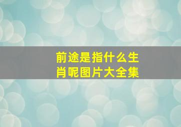 前途是指什么生肖呢图片大全集